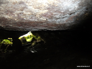 otta Pisciteddu-03-03-2013 11-46-49